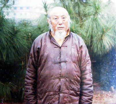 Файл:TsevangRinpoche1.jpg