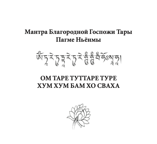 Файл:Pagme Nonma17.png