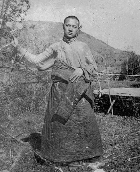 Файл:16Karmapa1.jpg