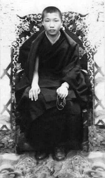 Файл:GosokRinpoche1.jpg