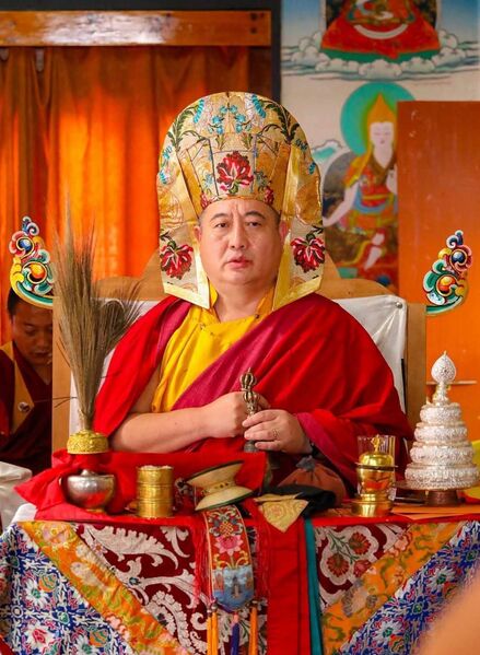 Файл:ShechenRabjamRinpoche.jpg