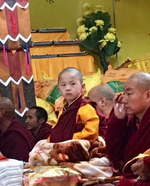 Файл:PenorRinpoche4.jpg