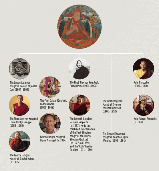 Файл:KongtrulTulku.png
