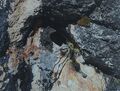 Миниатюра для версии от 15:06, 21 июля 2025