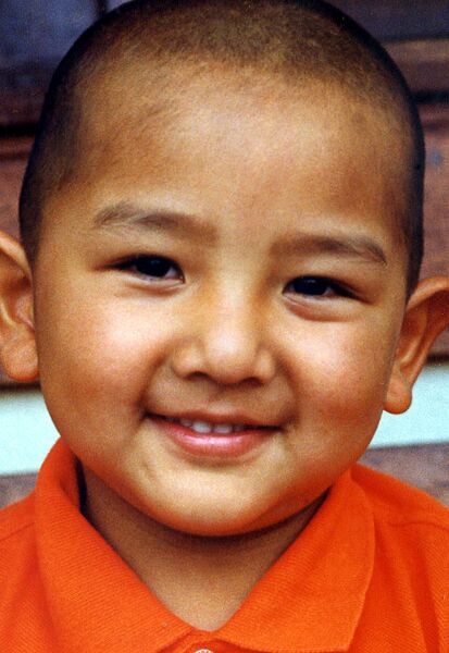 Файл:4JamgonKongtrul0.jpg