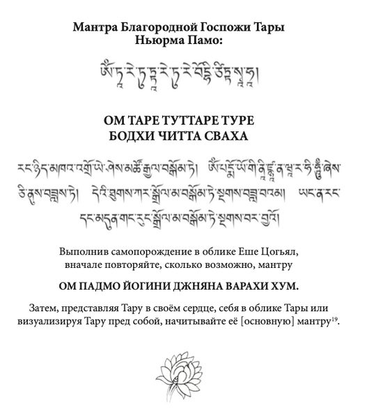 Файл:Nyurma Pamo01.png