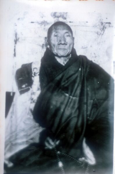 Файл:Thubten Chokyi Dorje 1.jpg