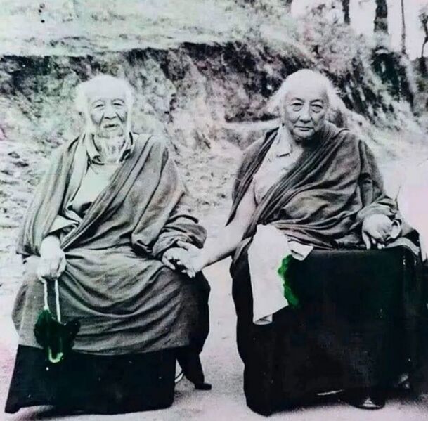 Файл:SonamZangpo4.jpg